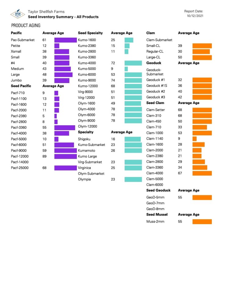 Power BI Report