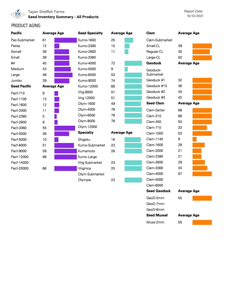 Power BI Report